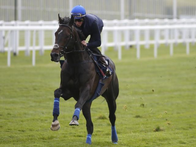 Jack Hobbs has been all the rage for the Champion Stakes but Tony Keenan thinks the Irish might hold sway